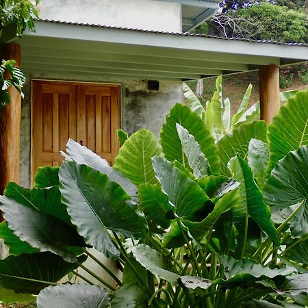 Casa Salvaje Vacation Rentals Bocas del Toro Eksteriør billede