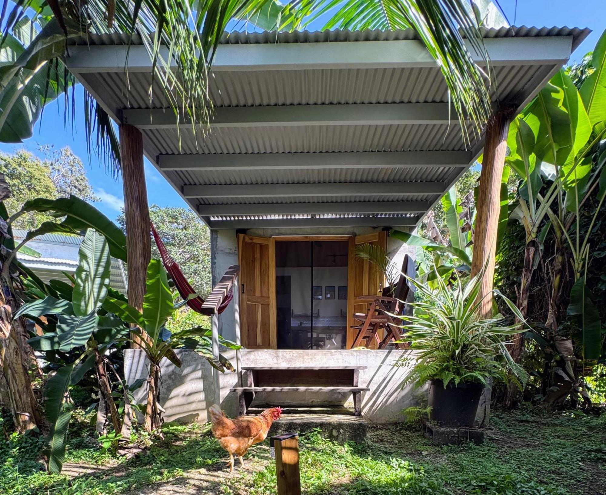 Casa Salvaje Vacation Rentals Bocas del Toro Eksteriør billede