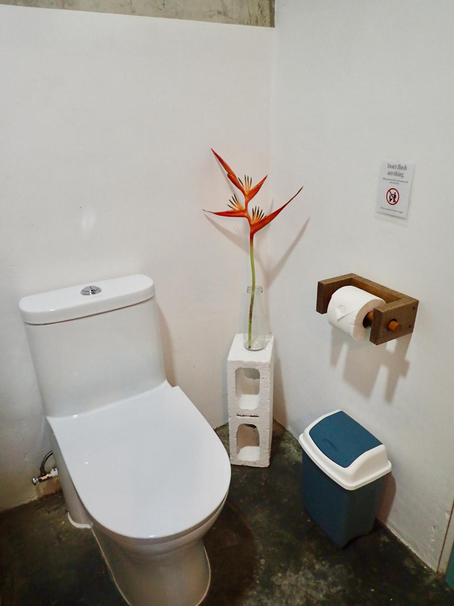 Casa Salvaje Vacation Rentals Bocas del Toro Eksteriør billede