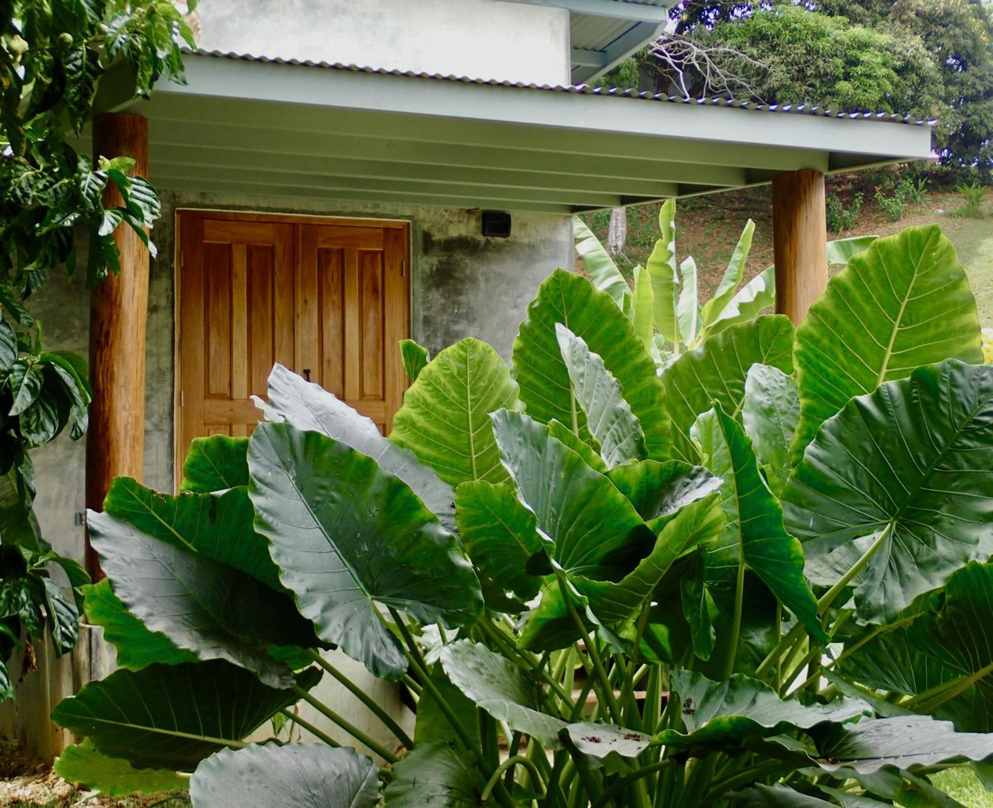 Casa Salvaje Vacation Rentals Bocas del Toro Eksteriør billede