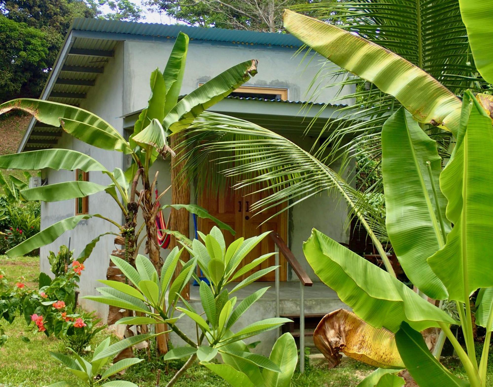 Casa Salvaje Vacation Rentals Bocas del Toro Eksteriør billede