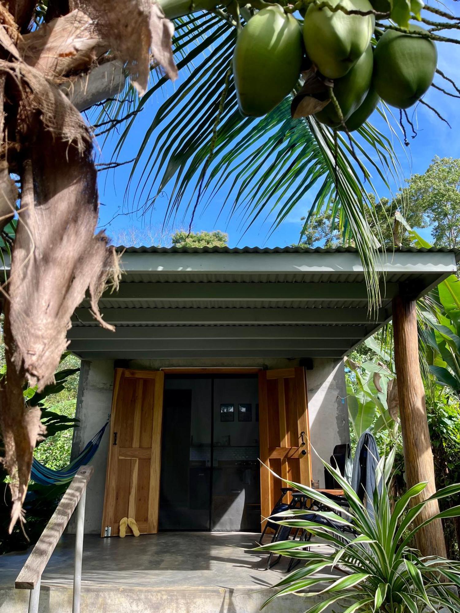 Casa Salvaje Vacation Rentals Bocas del Toro Eksteriør billede